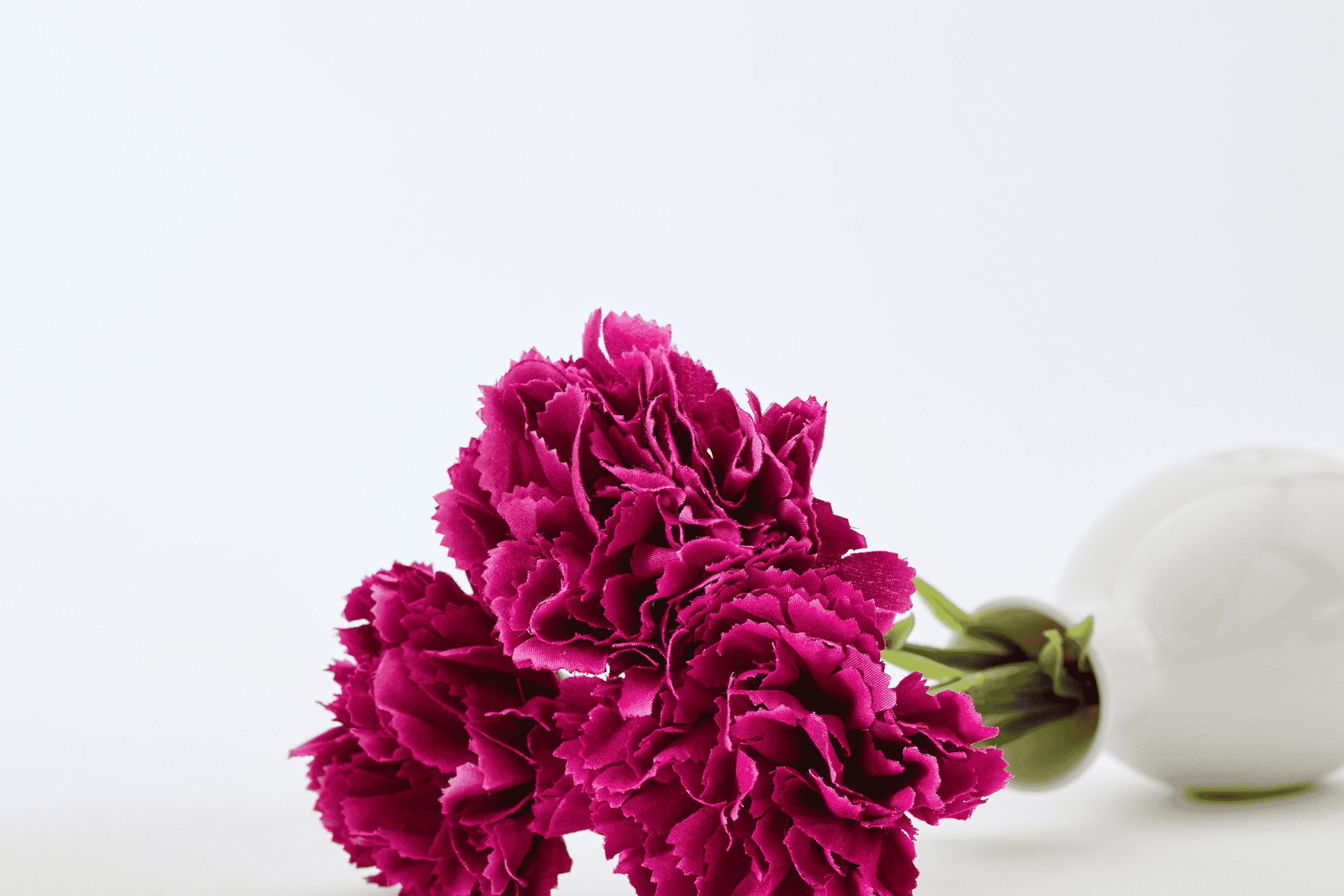 Women's Day (Kolaż zdjęć) (2670×1780 px).png