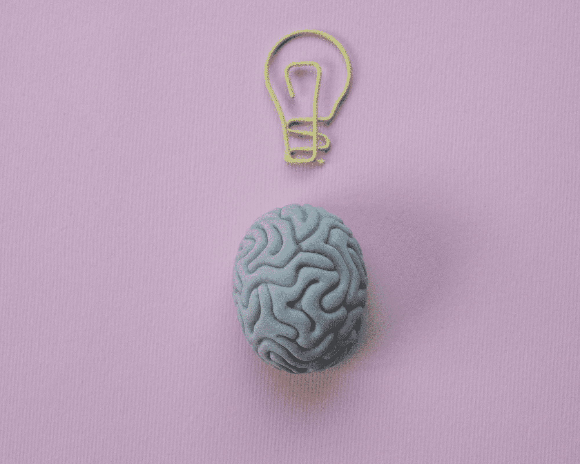 Projekt bez tytułu (5).png