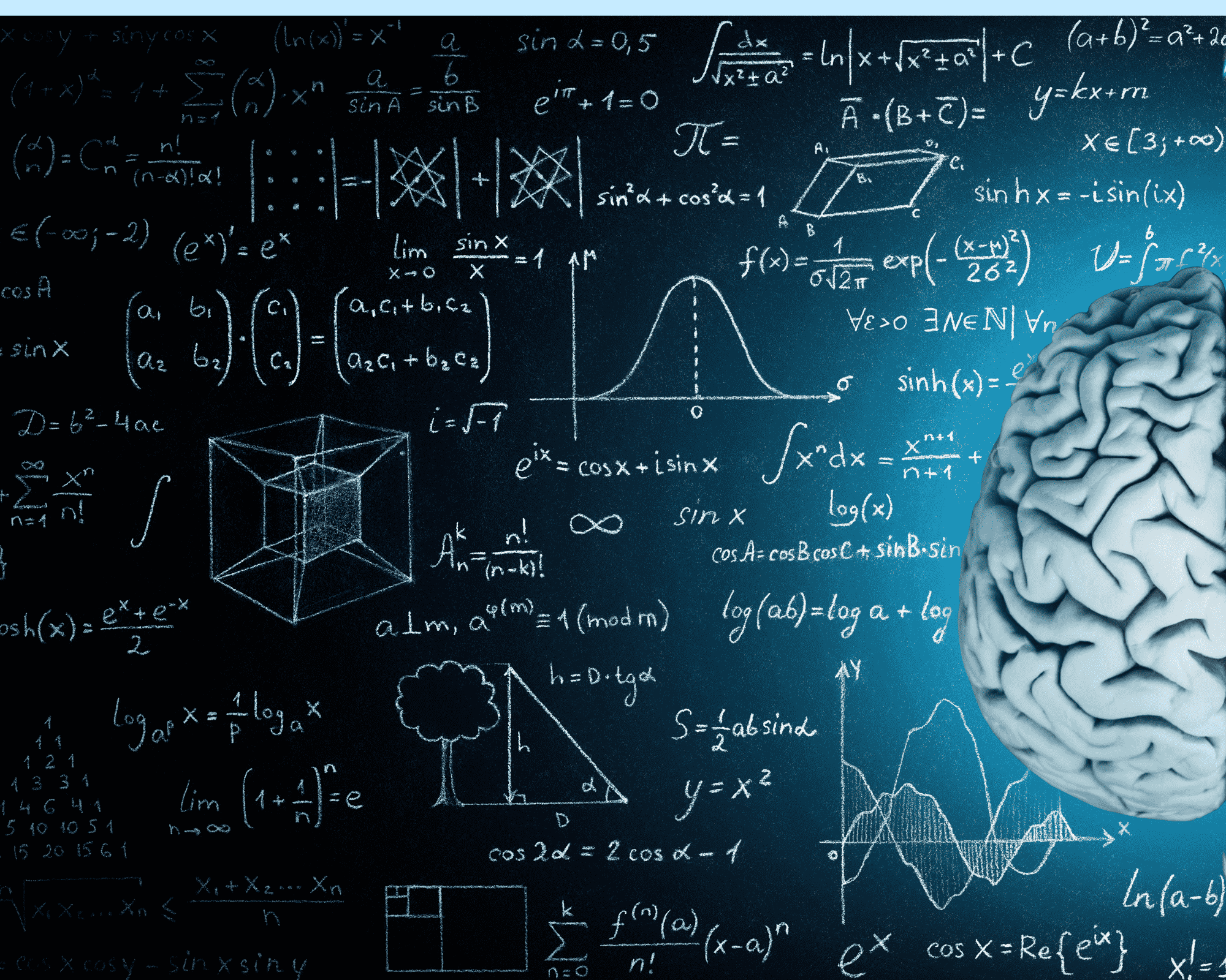 Projekt bez tytułu (4).png